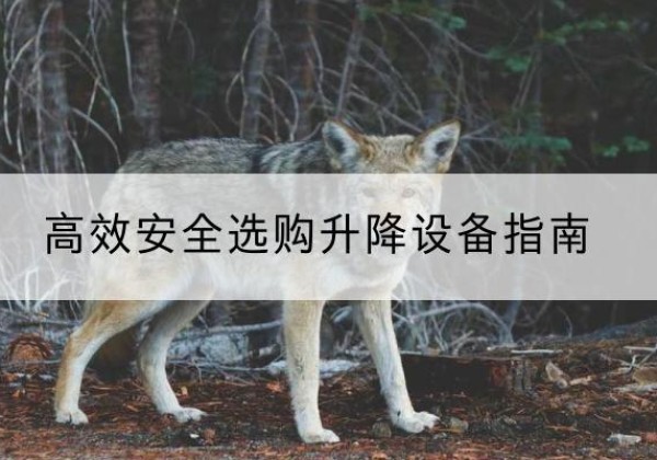 新兴升降货梯厂家推荐-*安全选购升降设备指南