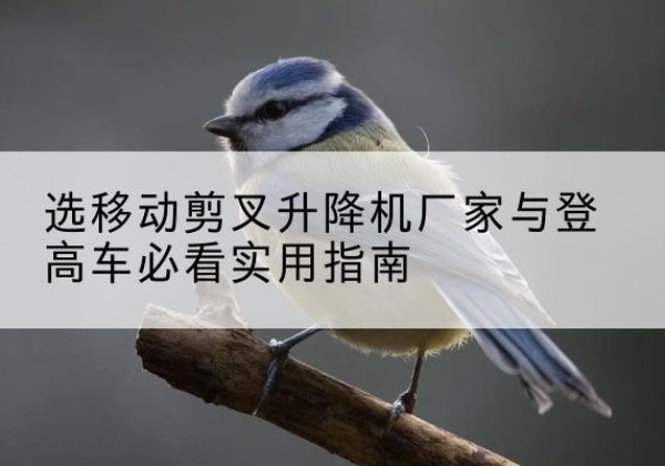 新兴电动升降机厂家-选移动剪叉升降机厂家与登高车必看实用指南